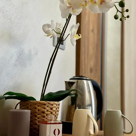- Living Apartment *