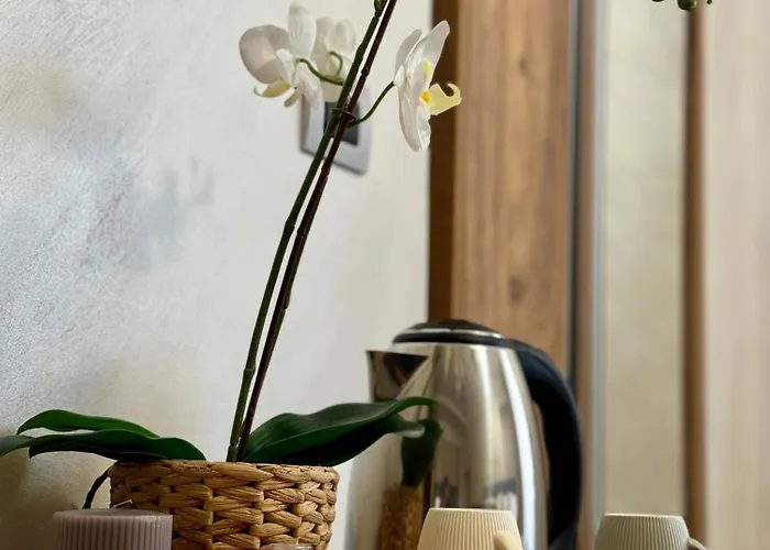 - Living Apartment *